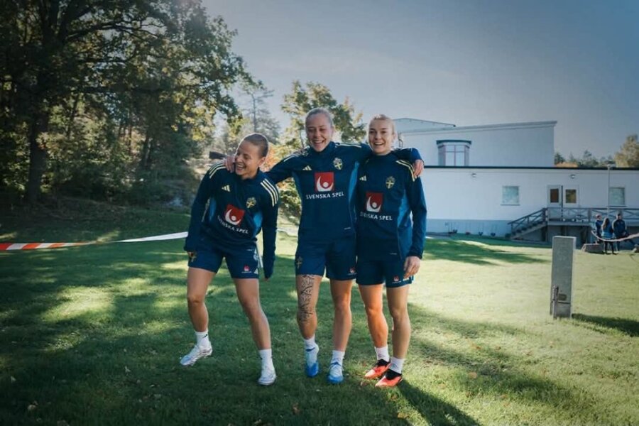 Švedijos rinktinė – elitui priklausanti Europos futbolo jėga